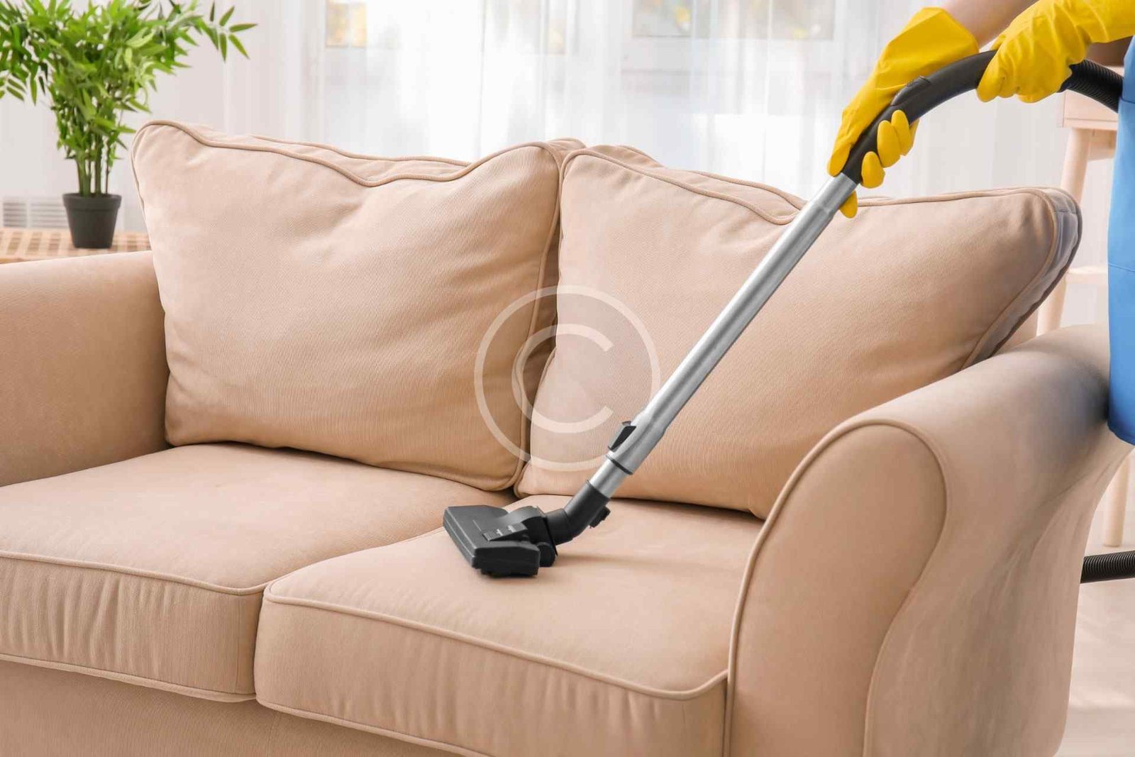 Interior cleaning